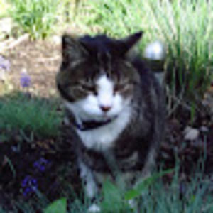 Meet your Posher, Alyse